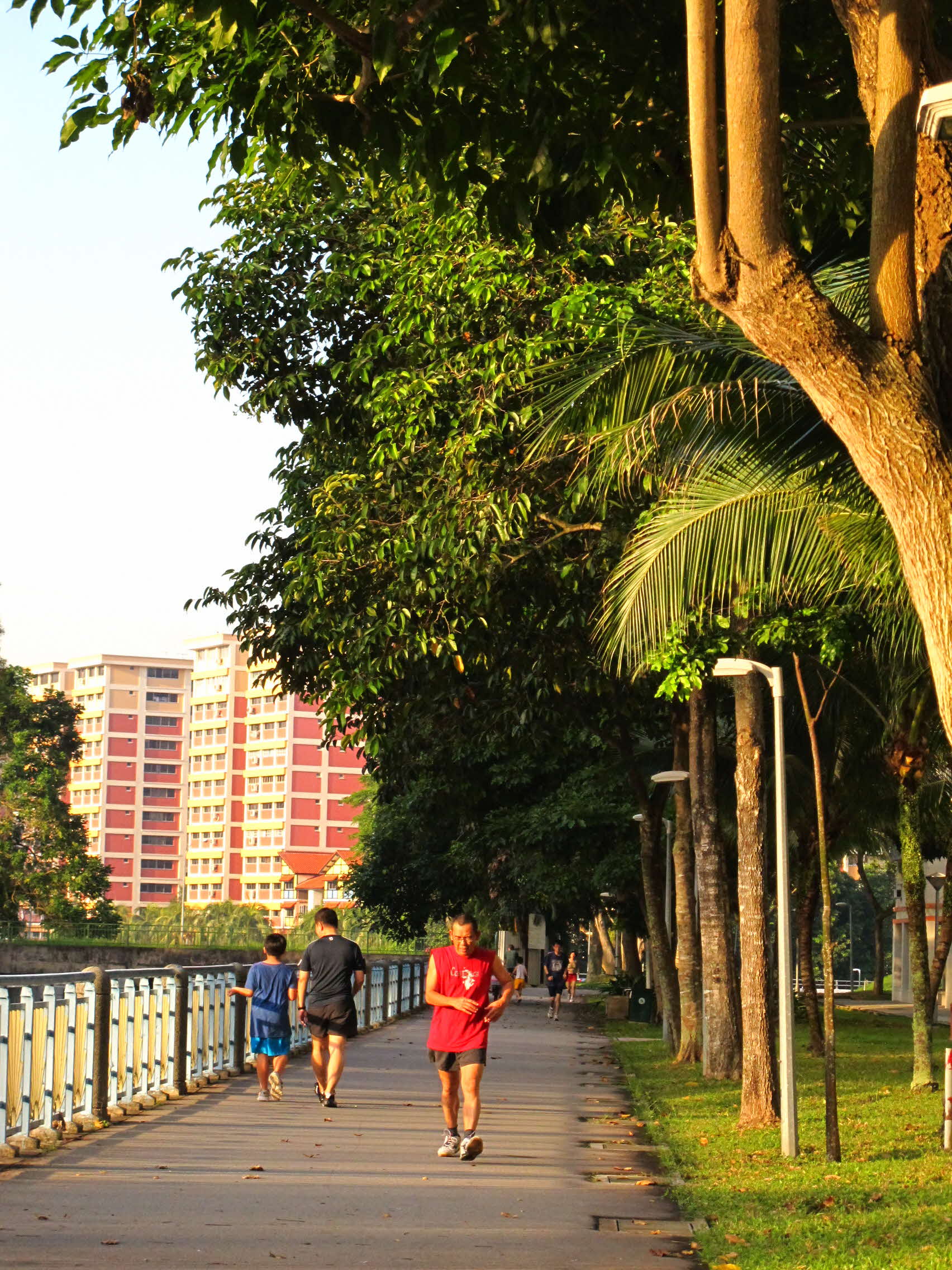 Tampines Park Connector